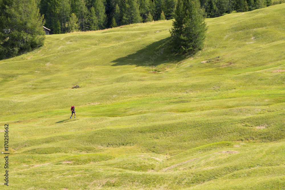 Mountain landscape with hiker walking in the meadow Mountain landscape with hiker walking in the meadow