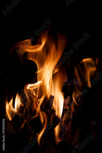 Shaped flame of fire isolated on a black background. © Viliam