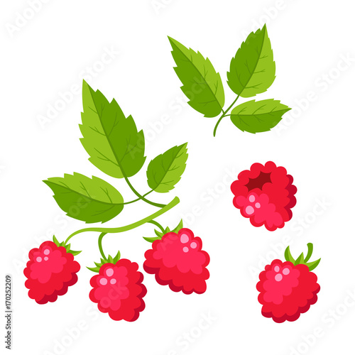 Fényképezés Set of cartoon raspberry with green leaves isolated on white