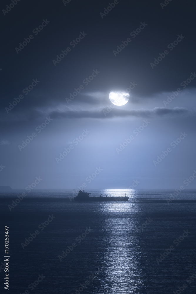 Fototapeta premium ship at night with moonlight