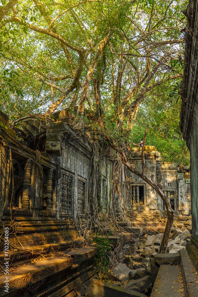 Beng Mealea temple ruins covered in trees and roots in the jungle near Siem Reap, Cambodia. Beng Mealea temple ruins covered in trees and roots in the jungle near Siem Reap, Cambodia.