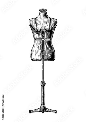 illustration of dress form