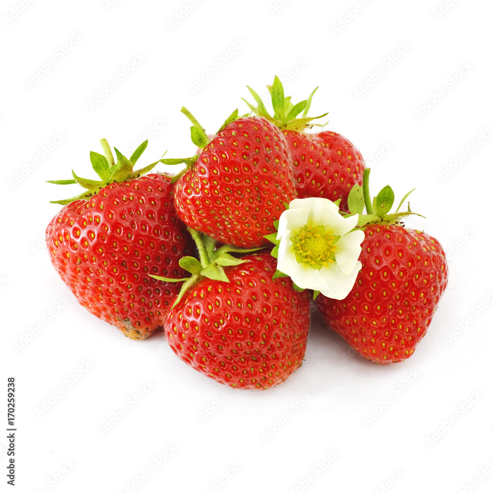 strawberries on a white background strawberries on a white background