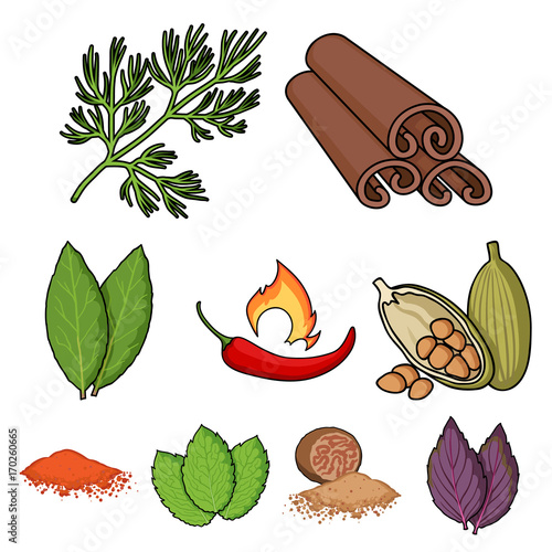 Herb and spices set icons in cartoon style. Big collection of herb and spices vector symbol stock illustration