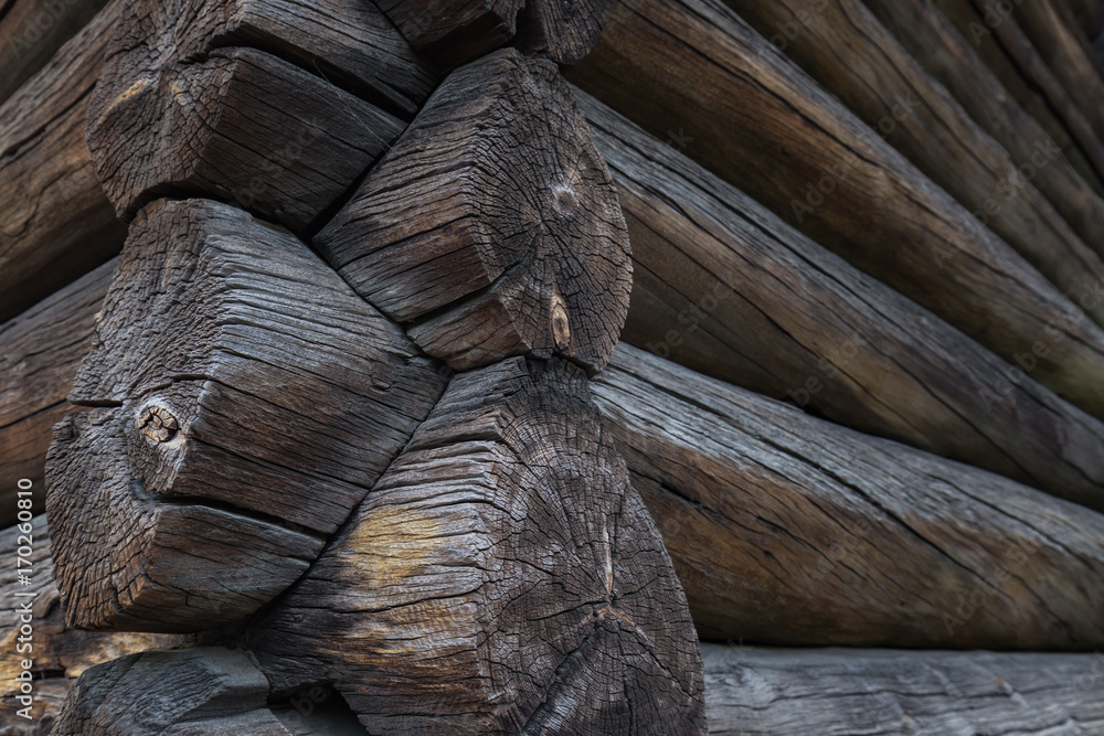 Notched corner of a traditional Norwegian log house Notched corner of a traditional Norwegian log house