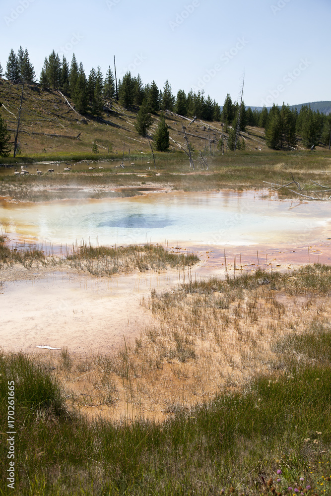 Yellowstone National Park Yellowstone National Park
