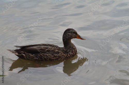 Arkhangelskoye manor