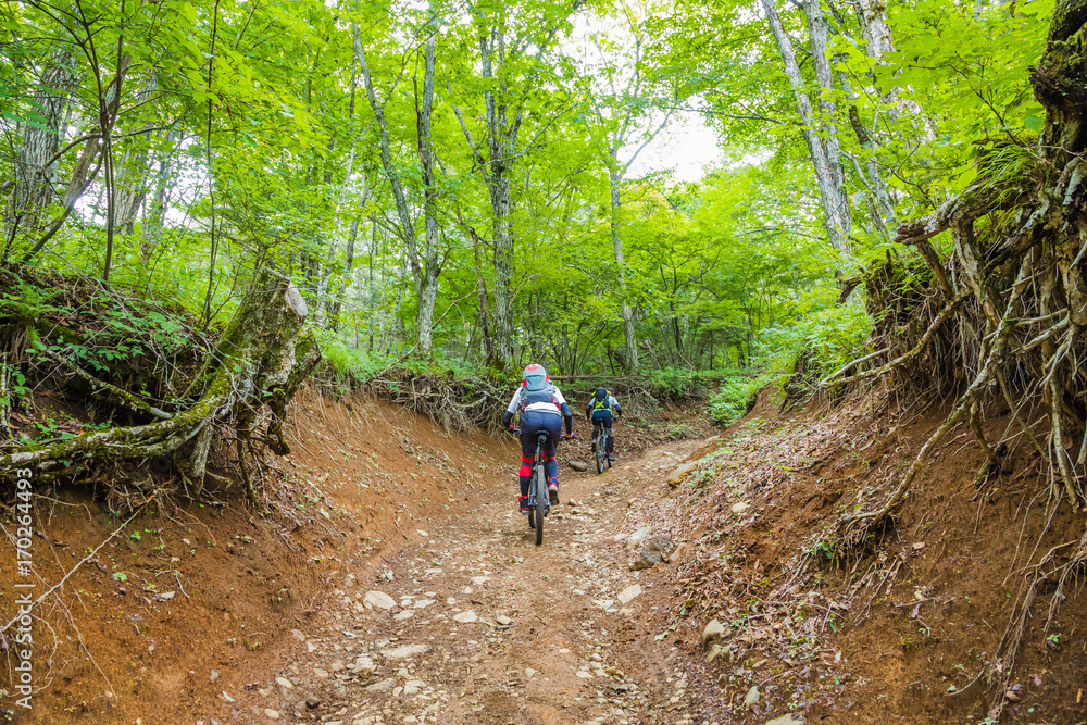 マウンテンバイクで登山