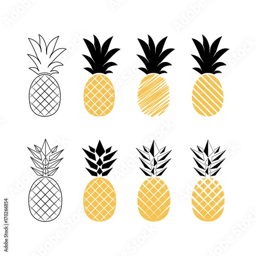 Pineapple fruit. Vector illustration.