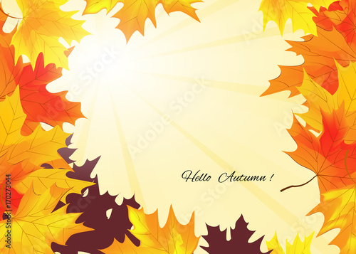 Autumn background with rays of sun