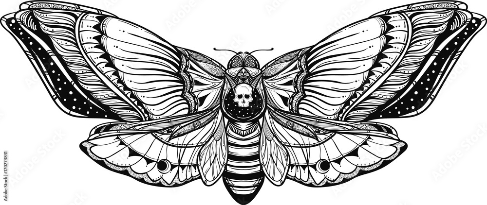 Naklejka czarno-biały martwy motyl doodle ilustracja