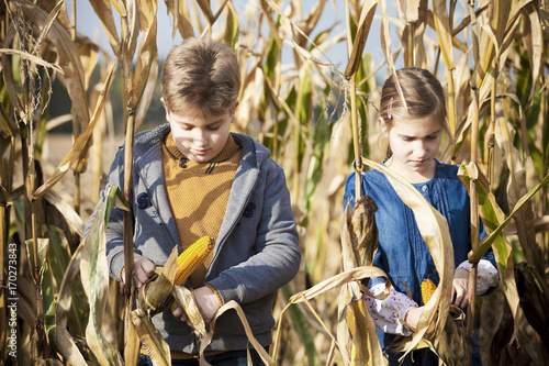 Two children in maize field