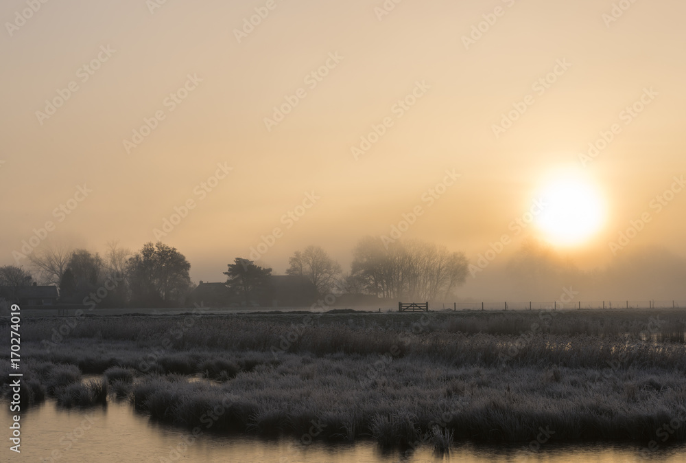 Farms on Winter Morning near Giethoorn