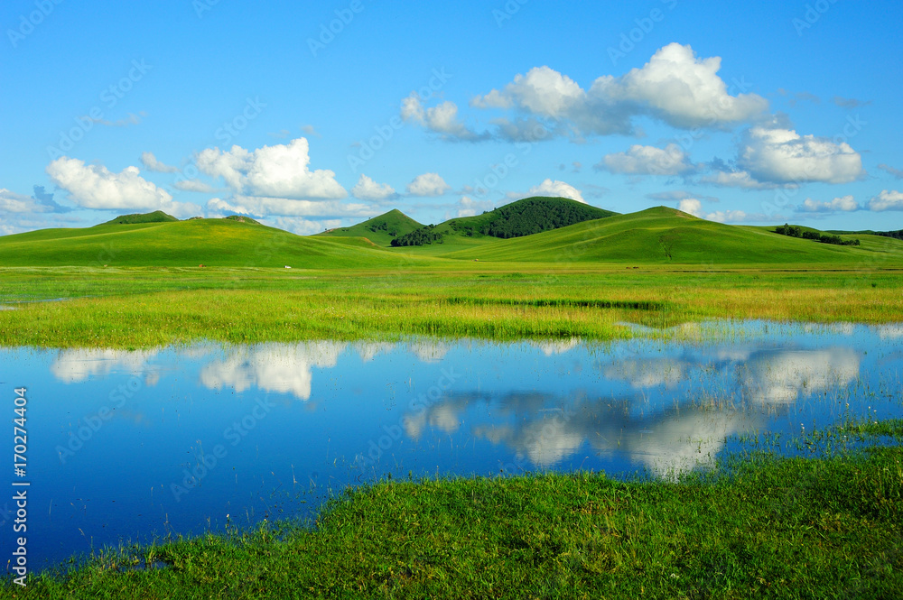 Grassland scenery under blue sky