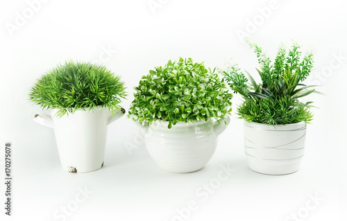 Set of artificial green houseplants in white pots isolated on white background. Artificial grass in indoor pots of various shapes.