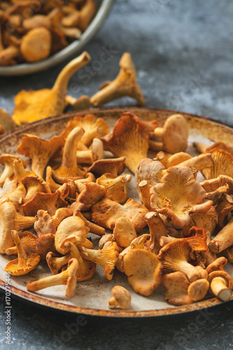Heap of fresh uncooked forest mushrooms chanterelle in old pan over gray texture background.