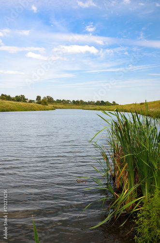 Summer scene with river.River Krasivaya Mecha in Tula region,Russia. 