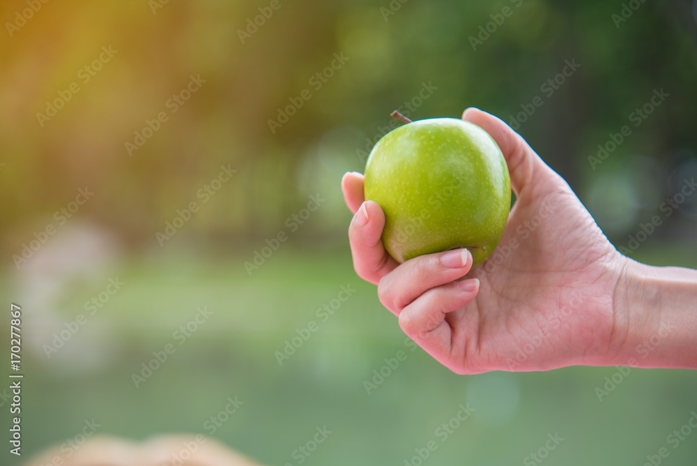 Closeup of green apple in healthy woman hand. Healthy fruit. Vegetarian. Wellness. Health and food concept. Closeup of green apple in healthy woman hand. Healthy fruit. Vegetarian. Wellness. Health and food concept.