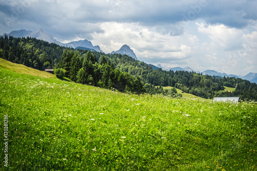 Fototapeta German Alps Summer Landscape With Meadows