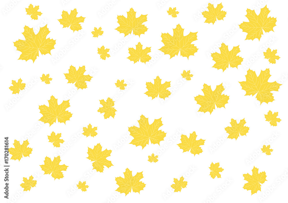 maple leaves in a mess on a light background maple leaves in a mess on a light background