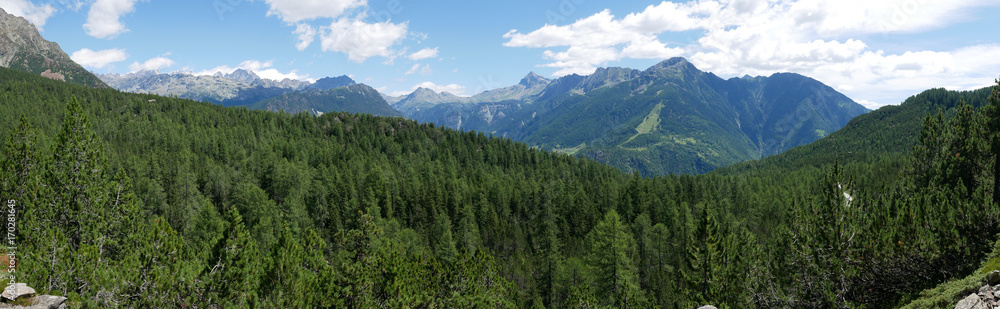 Fototapeta premium Alpine landscape in summer in Valtellina, northern Italy.