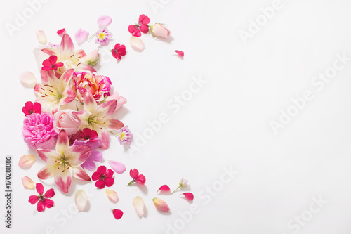 summer flowers on white background © Maya Kruchancova