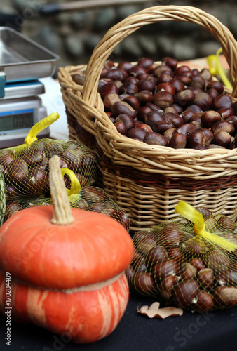 Basket full of chestnuts on stall and one orange squash