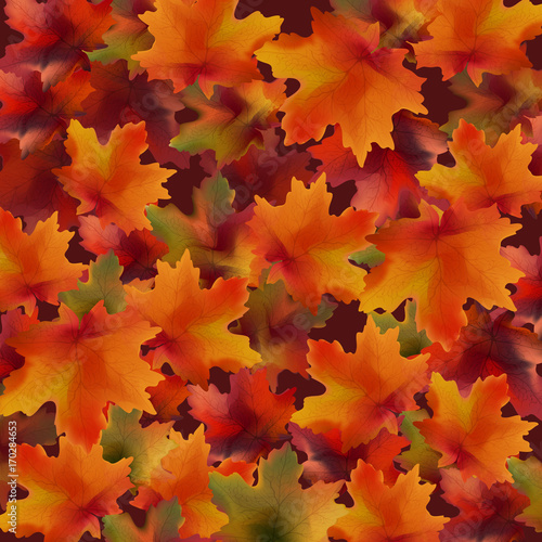 Autumn leaves pattern background. Realistic Vector illustrations