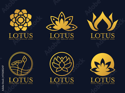 Gold lotus logo sign vector set design