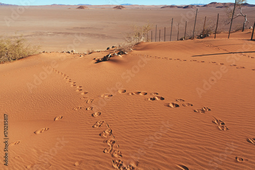 Namibia desert, Veld , Namib 