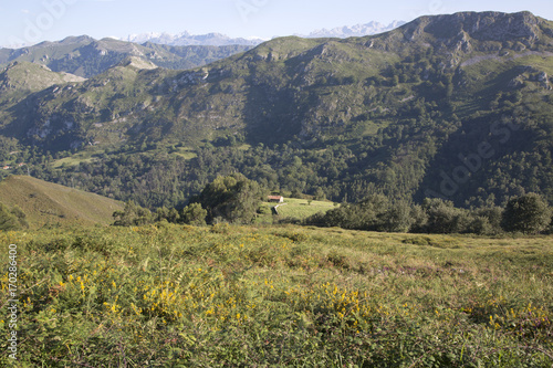 Picos de Europa Mountain Range from Alto del Torno; Austurias