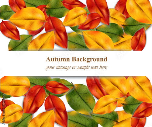 Autumn leaves on white background. Realistic Vector illustration banner or po...