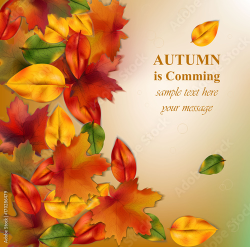 Autumn leaves on blurry background. Realistic Vector illustration banner or poster card