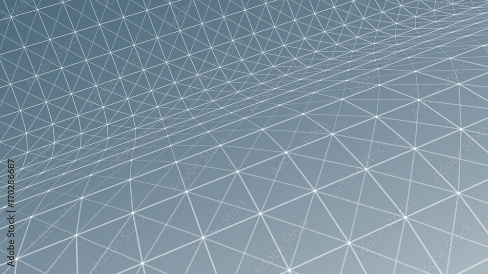 Obraz premium Wireframe polygonal landscape