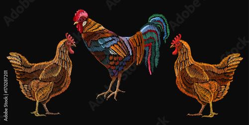 Embroidery chicken and rooster, fashion template for clothes, textiles, t-shirt design. Beautiful rooster and chicken, classical embroidery vector