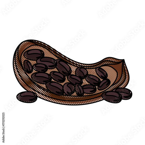 Nuts natural snack icon vector illustration graphic design