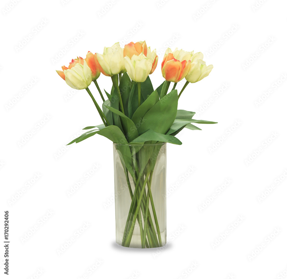Multicolored tulips in a vase, isolated on white background Multicolored tulips in a vase, isolated on white background
