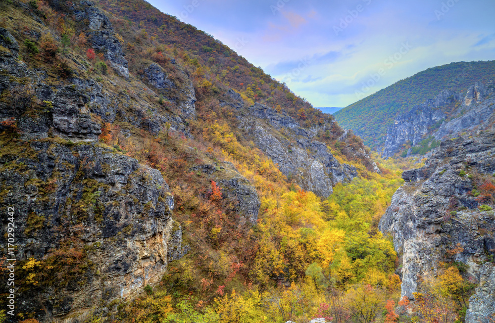 Beautiful mountain landscape with colorful autumn forest
