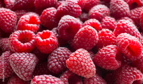 Малина ягоды (Rubus idaeus)