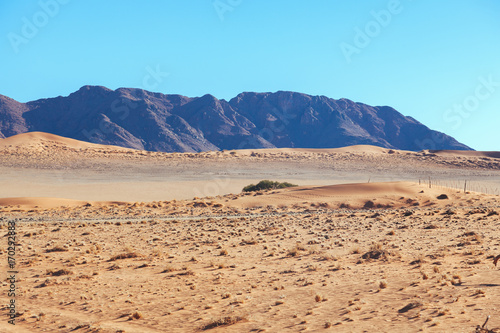 Namibia desert, Veld, Namib 