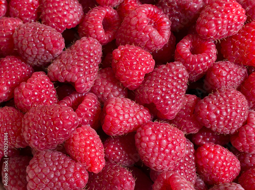 Малина ягоды (Rubus idaeus)