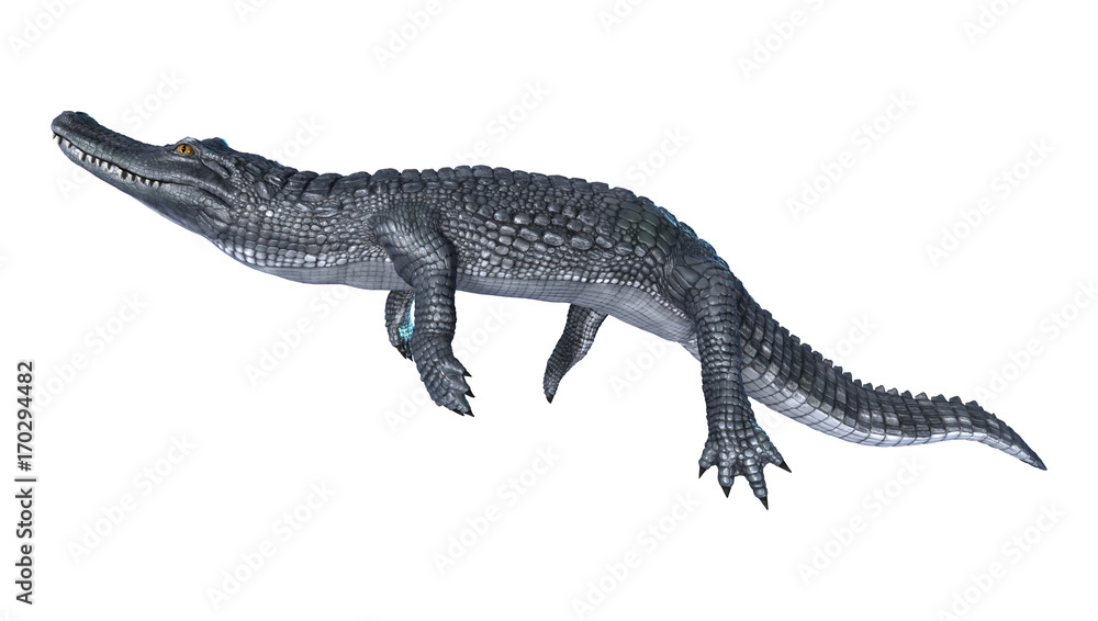 Naklejka premium 3D Rendering Alligator Caiman on White