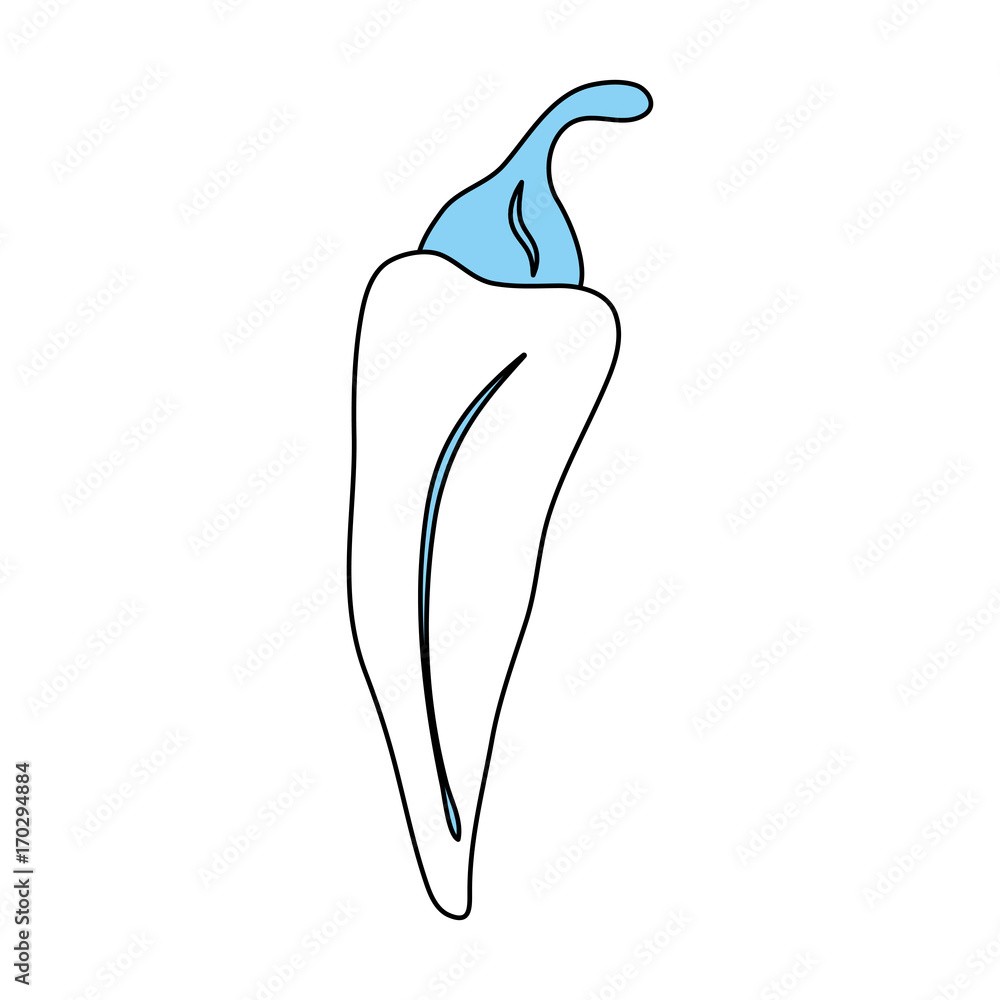 Natural hot chilli icon vector illustration graphic design Natural hot chilli icon vector illustration graphic design