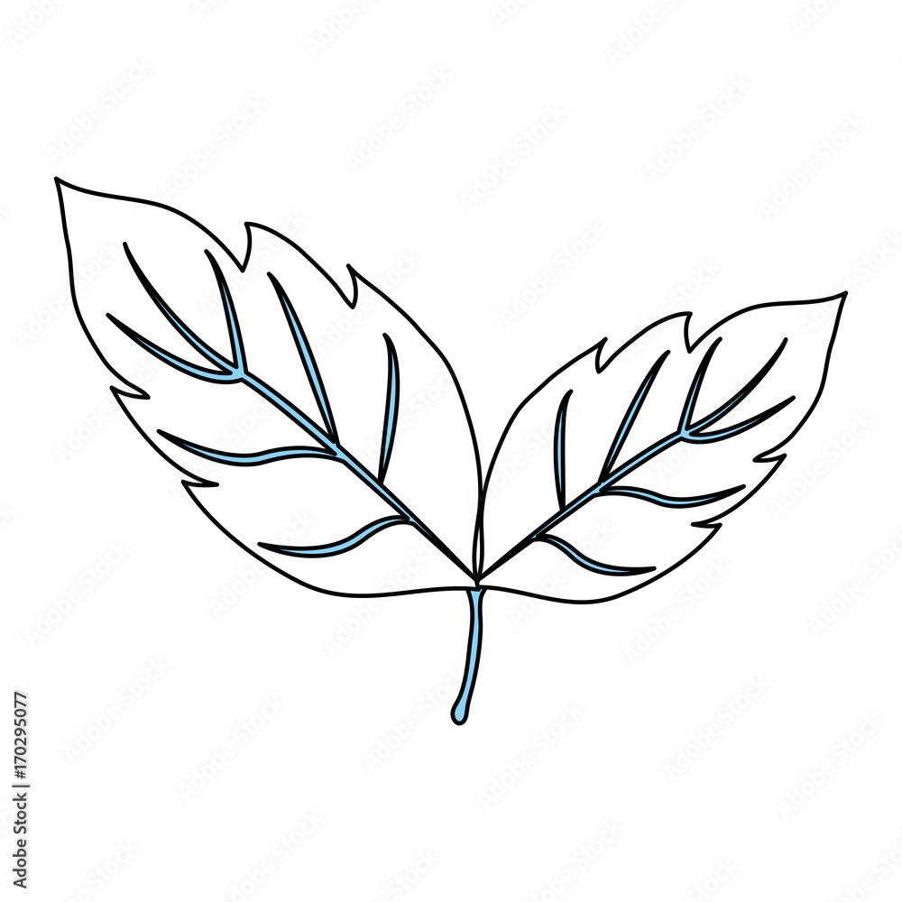 Leaves eco symbol icon vector illustration graphic design Leaves eco symbol icon vector illustration graphic design