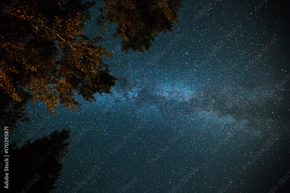 Starry sky, Milky Way galaxy and highlighted trees
