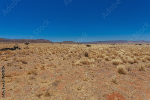 Namibia desert  Veld  Namib 