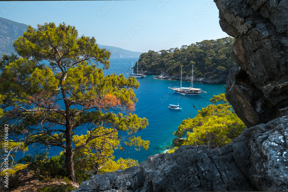 Aegean Sea coast with pine trees and boats anchored in a calm lagoon, Turkey