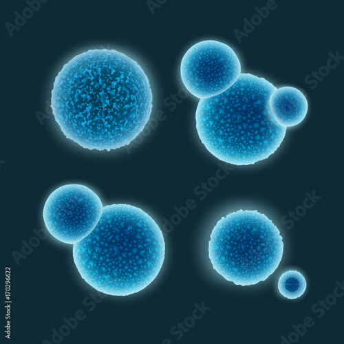 Set of cocci bacteria