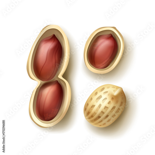 Set of peanuts