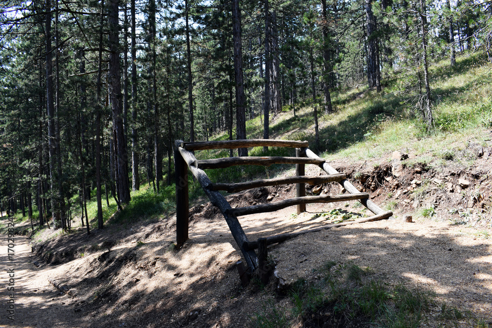 Obstacles for crossing and training in the forest